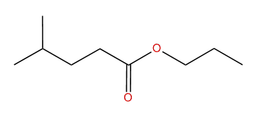 Propyl 4-methylpentanoate